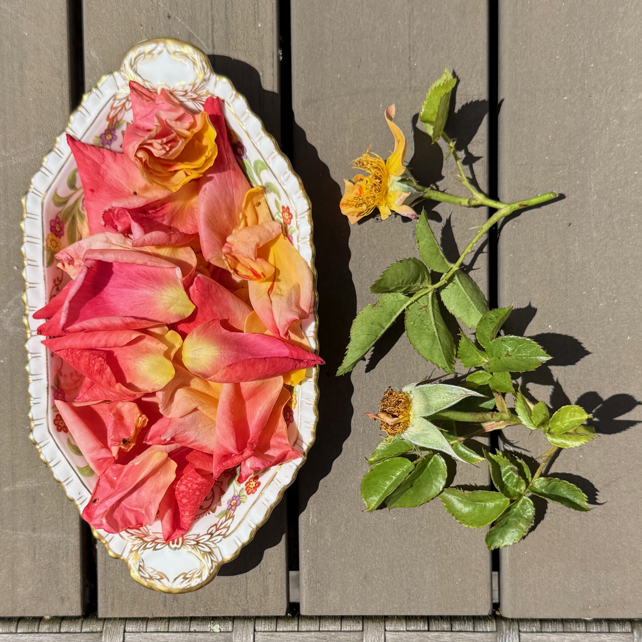 Petit Plat des Feuilles